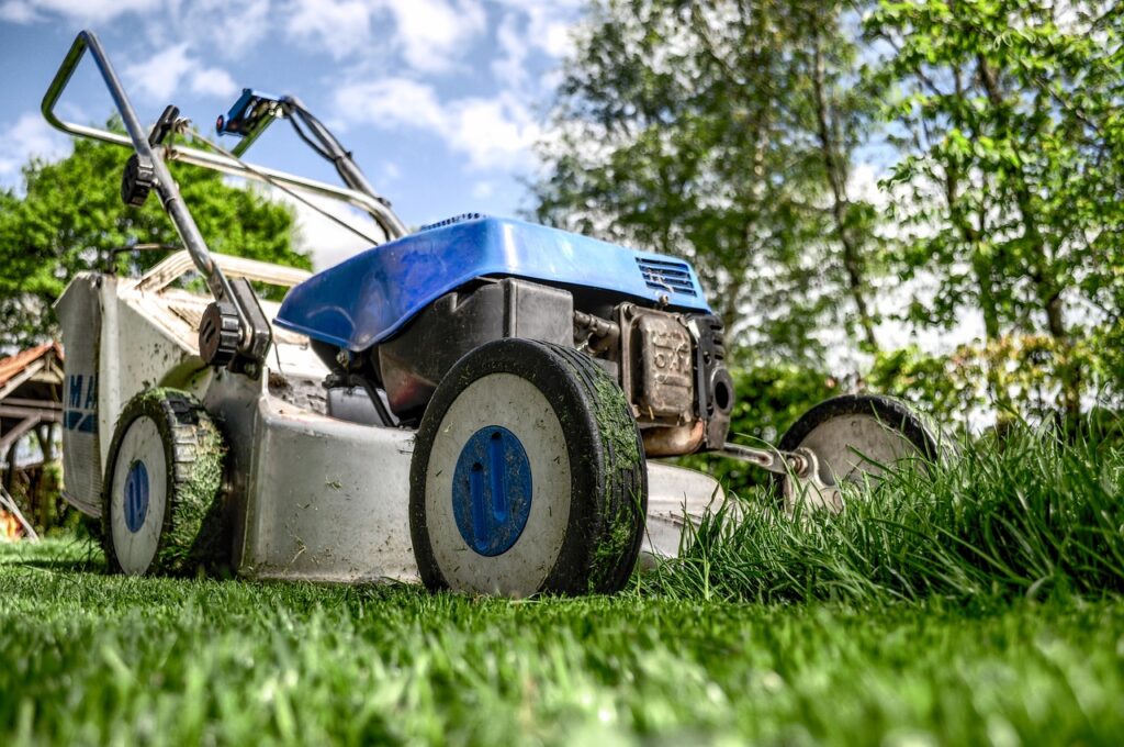 lawn mower, grass, garden, front yard, gardening, lawn-mower chassis, lawn, cutting, gardener, equipment, machine, nature, backyard, mower, maintenance, yard, lawn mower, lawn mower, lawn mower, garden, garden, garden, garden, gardening, gardening, gardening, gardening, gardening, lawn, lawn, lawn, gardener