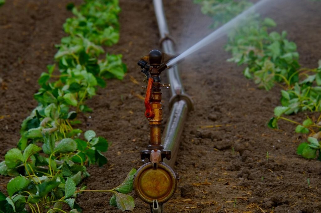 water sprinkler, water jet, artificially, agriculture, irrigation, landscape, dryness, water, bust, field, fields, summer, dry, sprinkler, tube, water supply, artificial irrigation, nature, irrigation, irrigation, irrigation, irrigation, irrigation, sprinkler